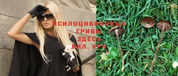 бошки Алексеевка