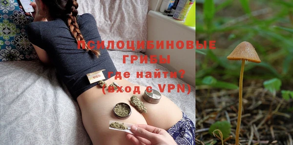 бошки Алексеевка